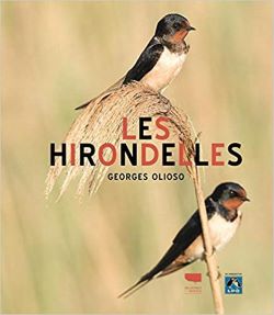 les hirondelles